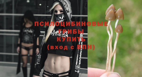 шишки Балабаново