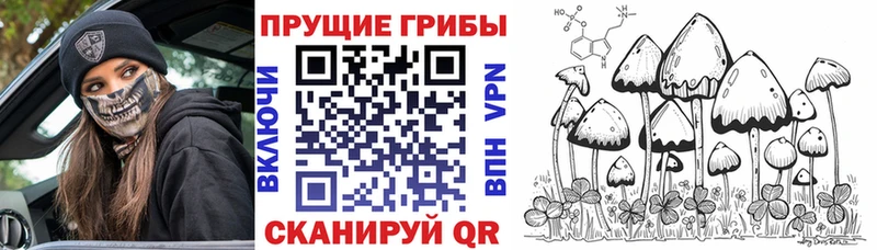 где найти наркотики  Лакинск  blacksprut   Галлюциногенные грибы прущие грибы 